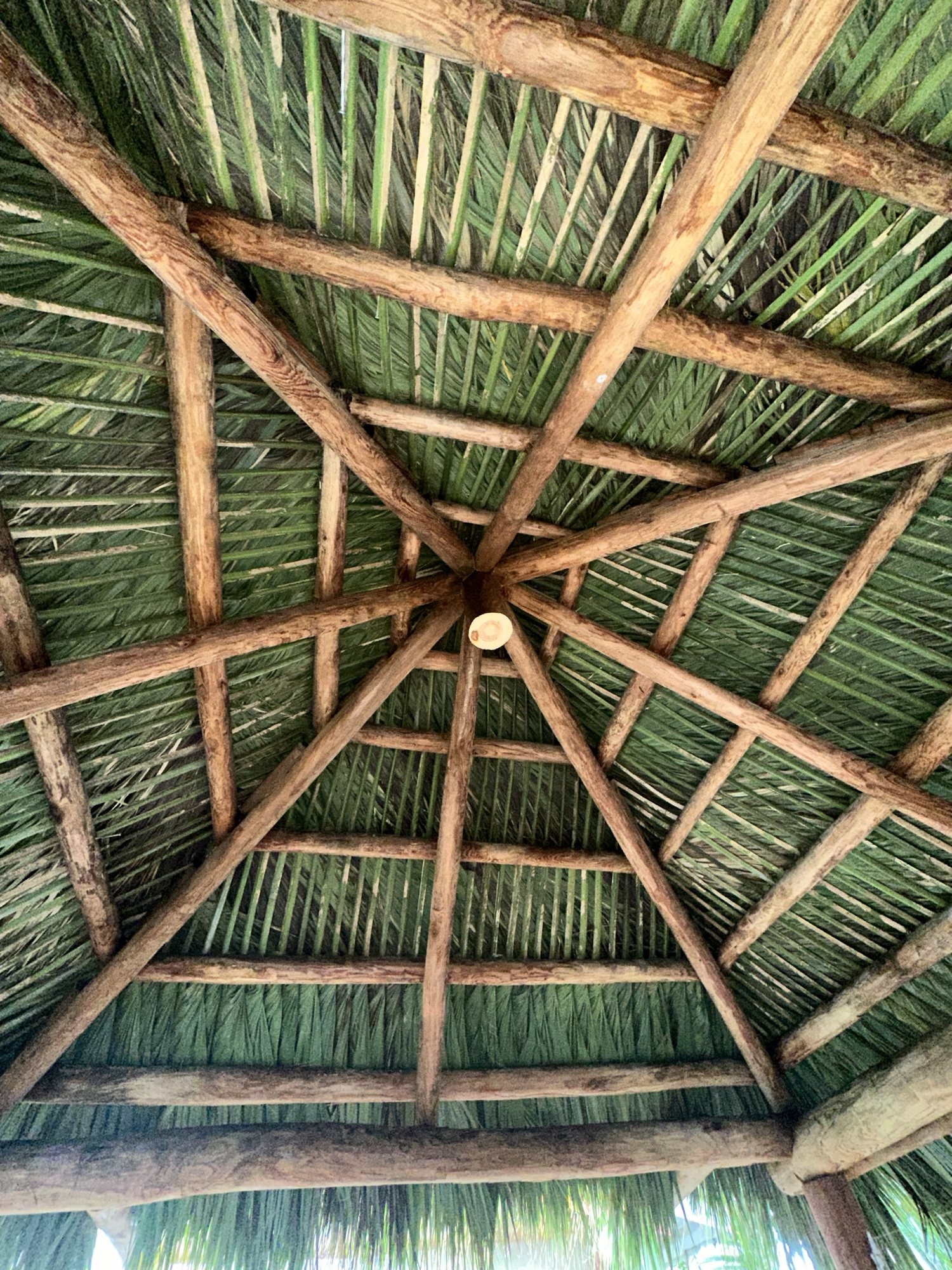 Tropical Tiki Huts project photo 3