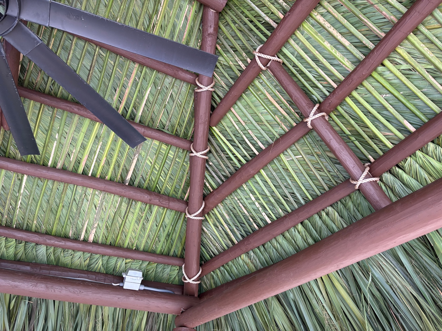 Tropical Tiki Huts project photo 6