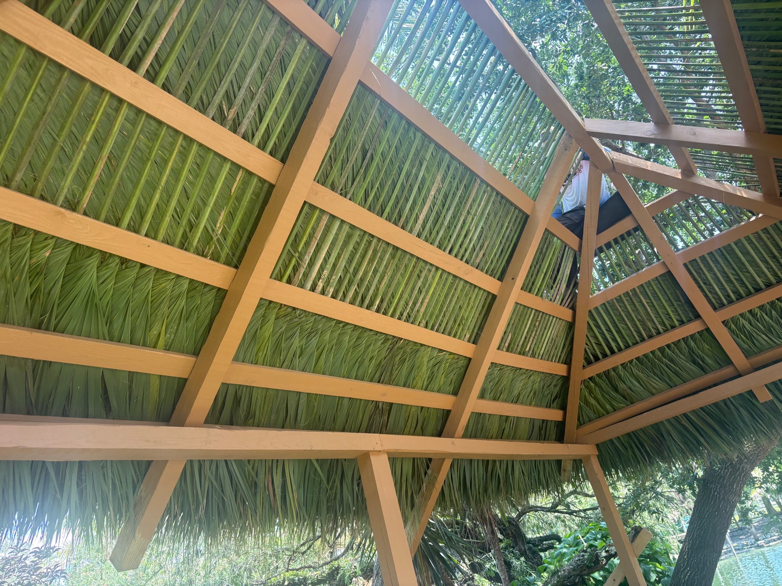 Tropical Tiki Huts project photo 19